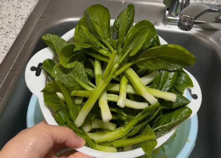 这5种绿叶菜，比牛奶含钙高，每天吃一把，全家老小钙都补足了