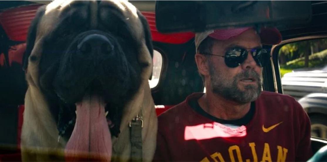 迈克尔贝救护车,迈克尔贝最新电影