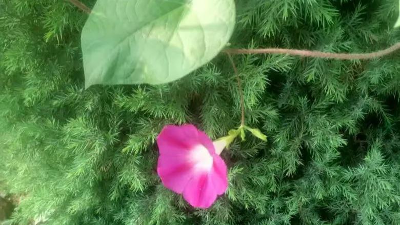 恒心意味着什么,恒心和毅力是成功之本