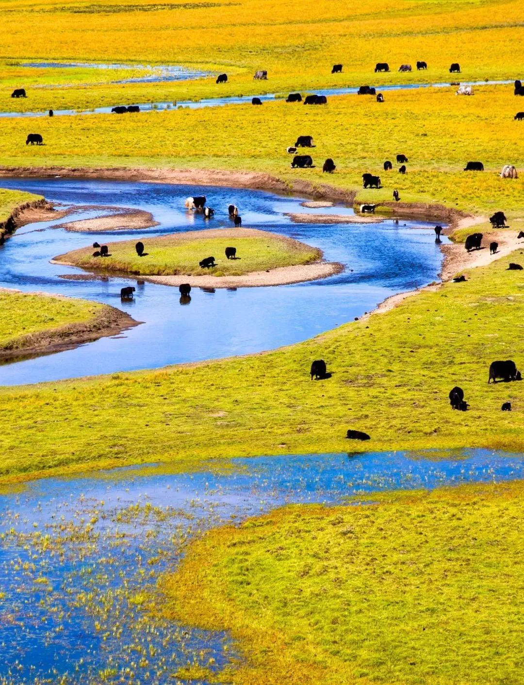 诗与远方美景,诗与远方四川