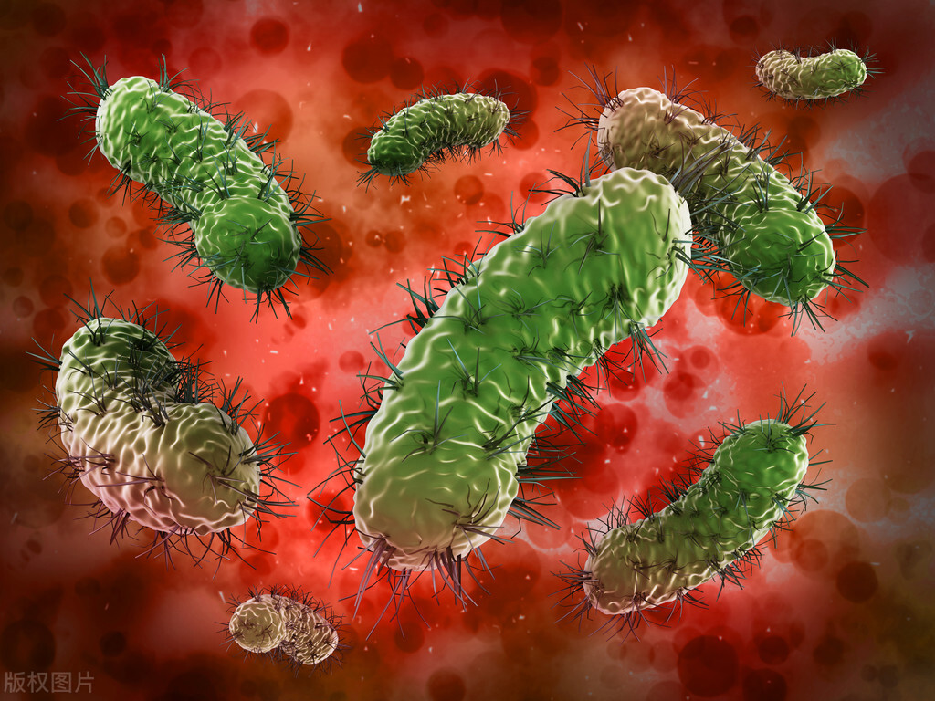 白带分泌物检验报告单怎么看,白带分泌物报告单