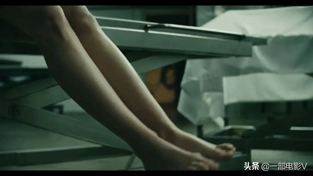 颠覆人类三观的电影,脑洞大开全程无尿点的电影