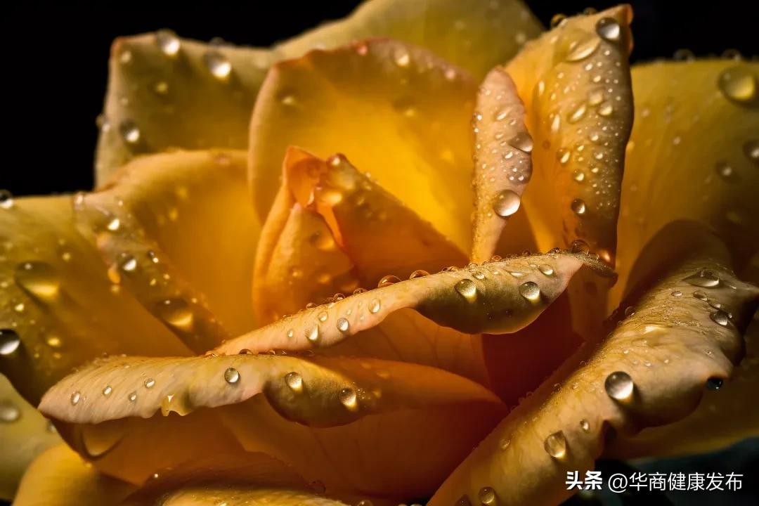 怎么有效抑制皮肉变松,上紧下松有几种方法