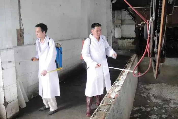 观赏鱼血鹦鹉人工养殖模式，及其疾病防控技术