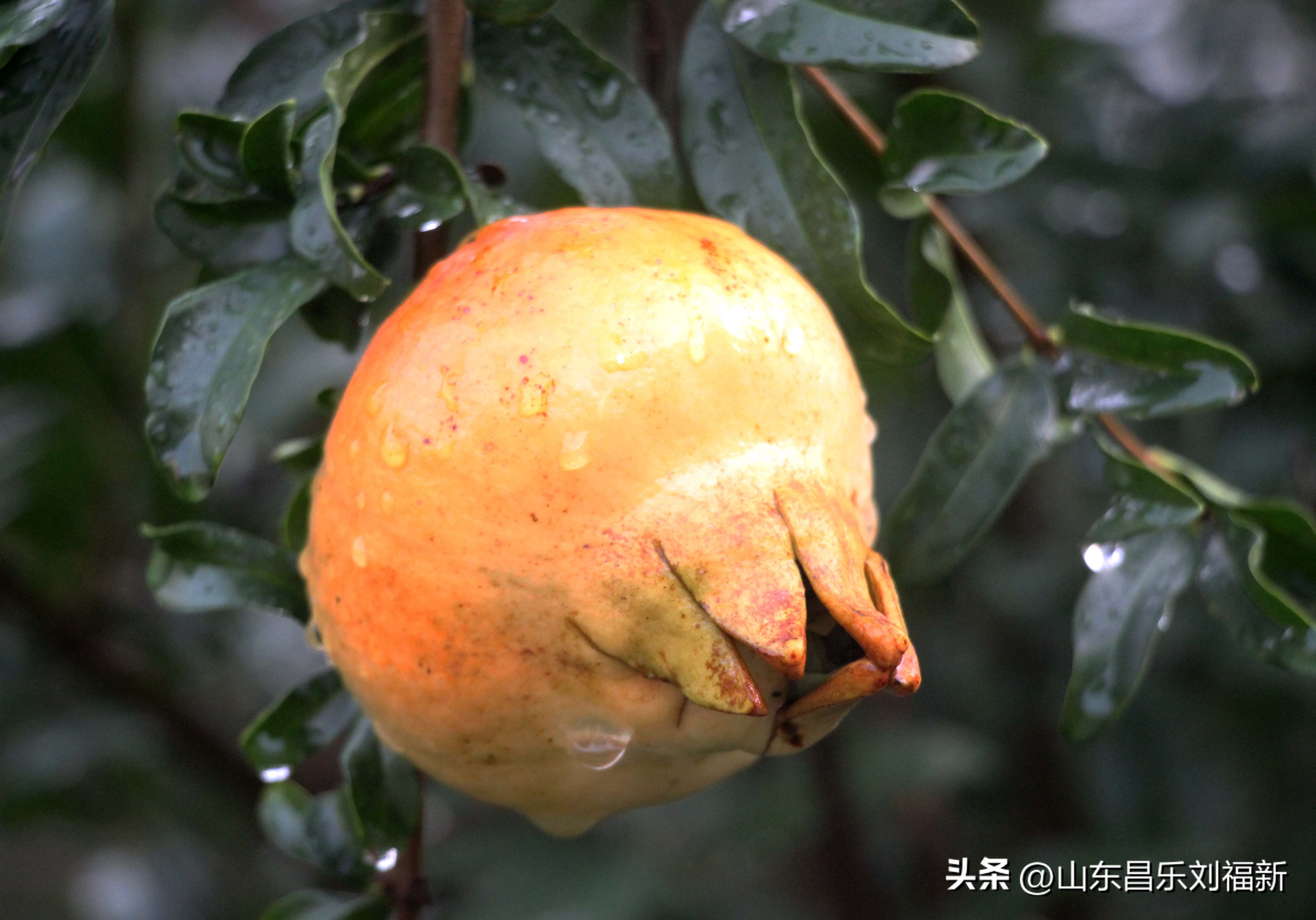 2023年8月20日有雨吗,2021年8月19日有没有下雨