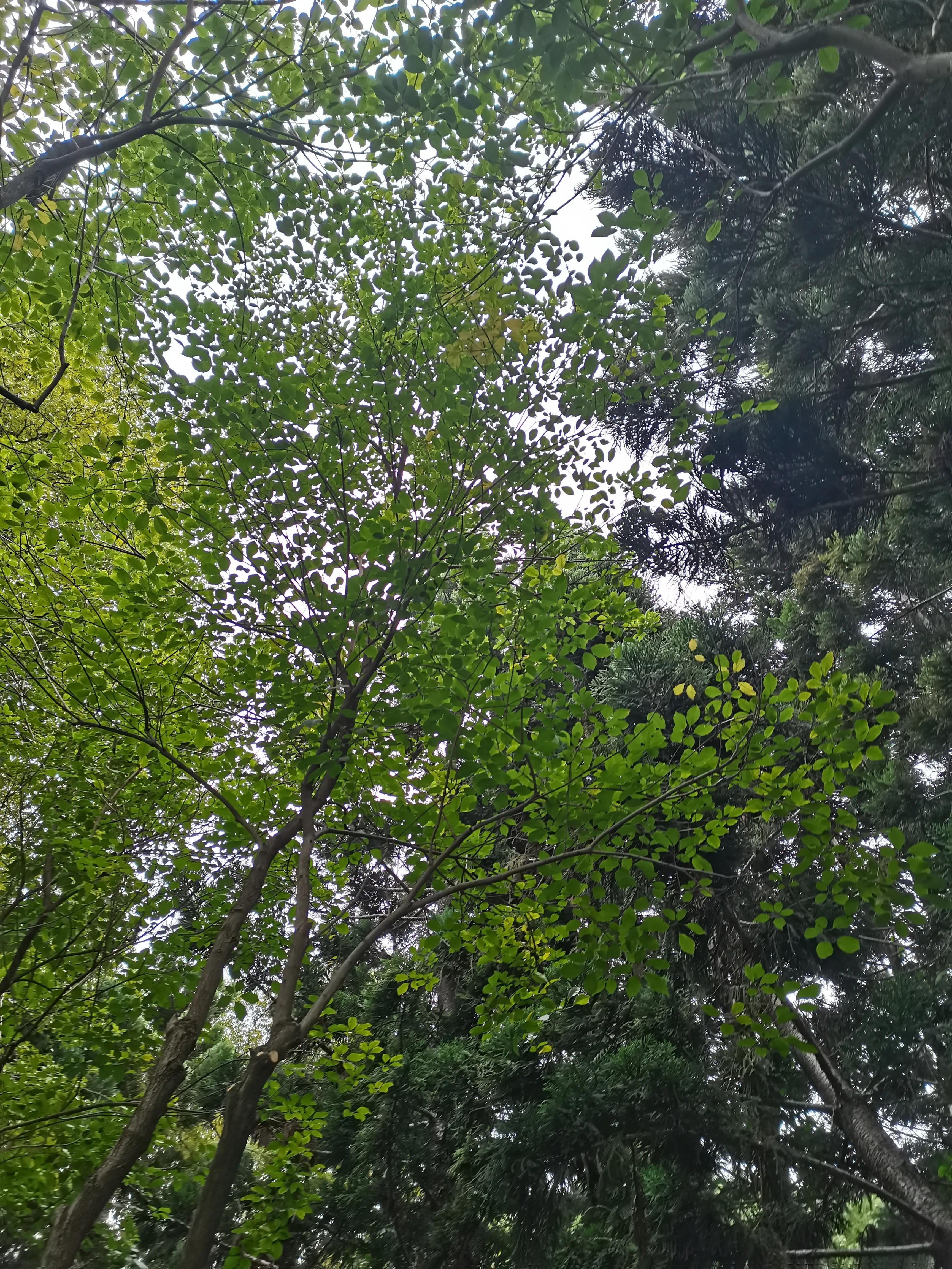 福州郁金香温泉公园,福州花海公园郁金香