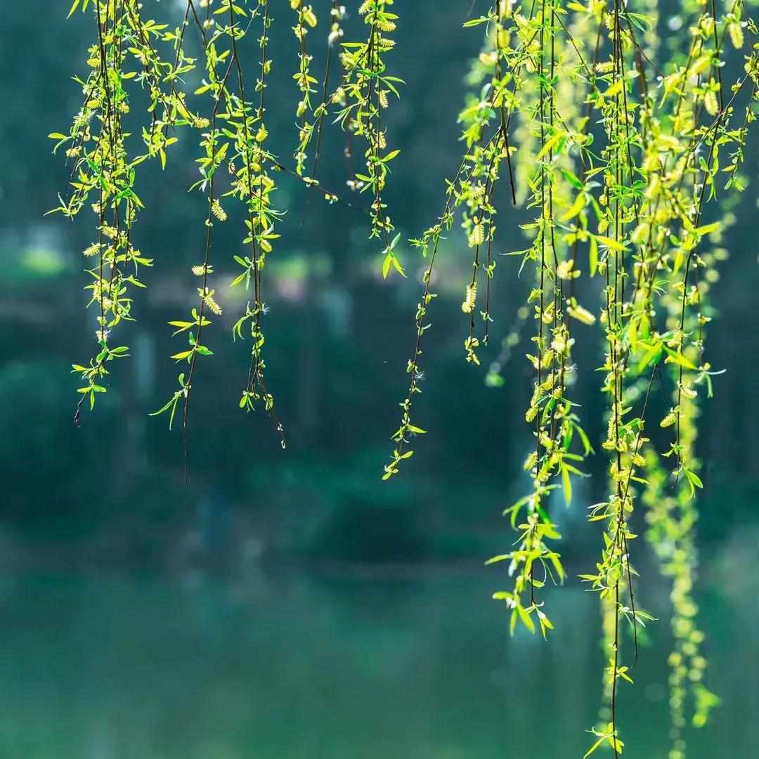 王昌龄最著名的十首诗朗读,王昌龄最著名十首诗