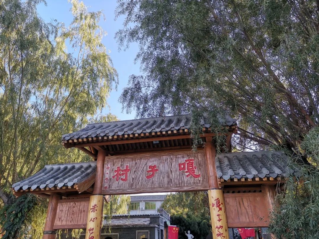 盛夏时节荷花盛开,盛夏去看荷花