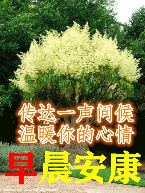 庚子日柱2023年癸卯年运势,癸卯年2023年哪个月出生最好