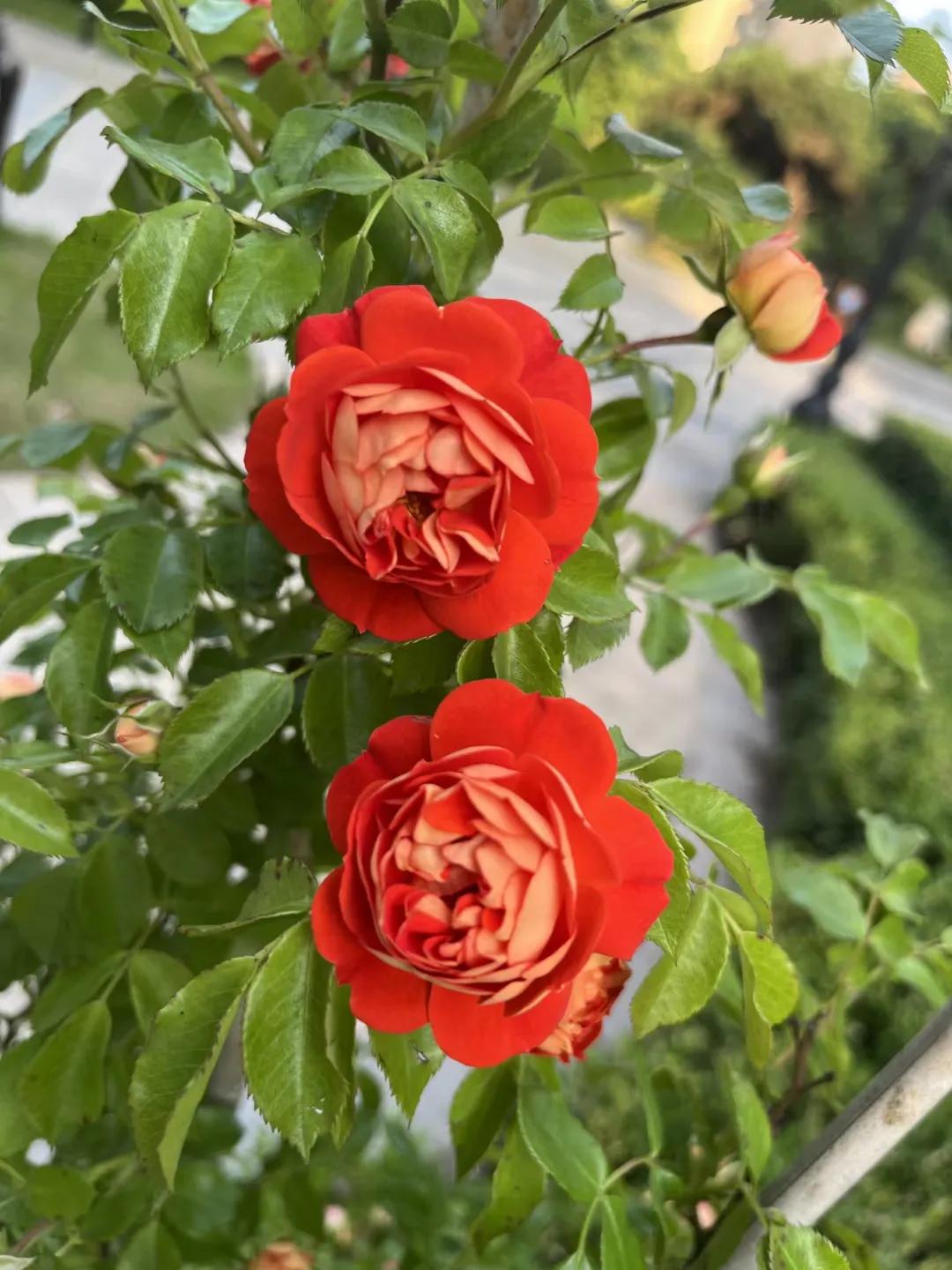 怎样在交往中不卑微,与人交往不卑微