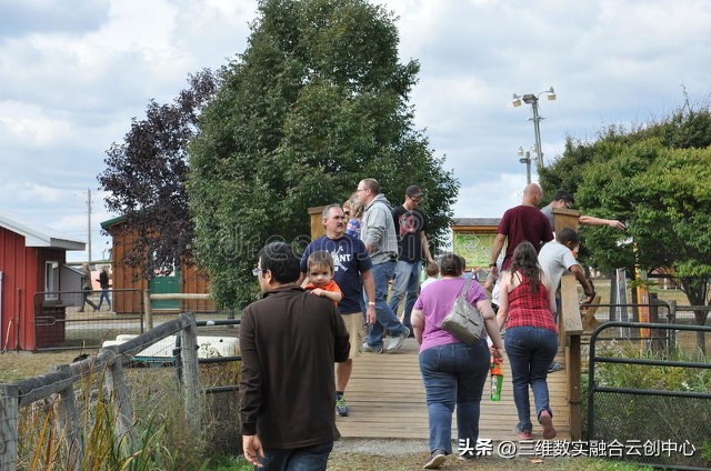 新型家庭农场的致富路,家庭农场的发展红利又将迎来高潮