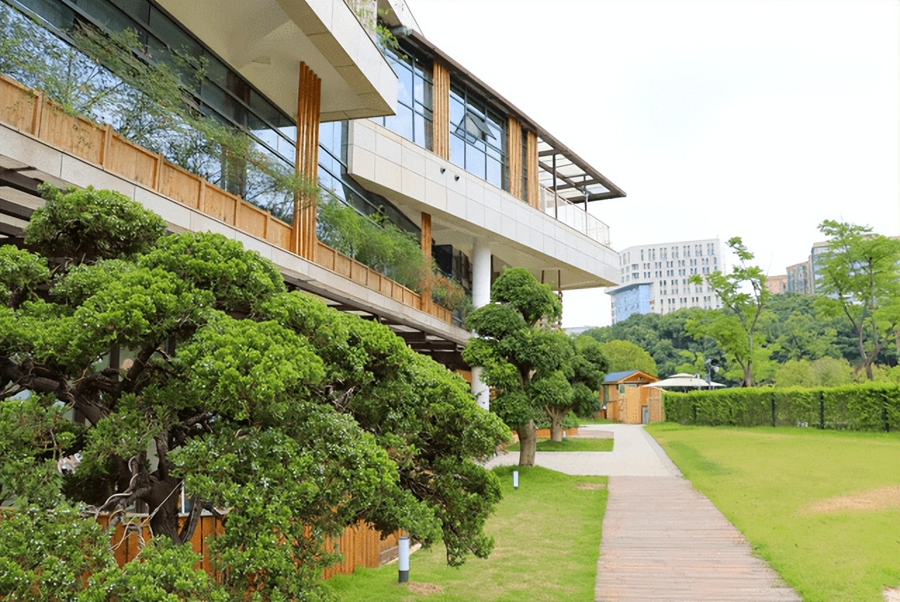 彼一米国际森林儿童学院长沙学费,长沙彼一米幼儿园怎么样