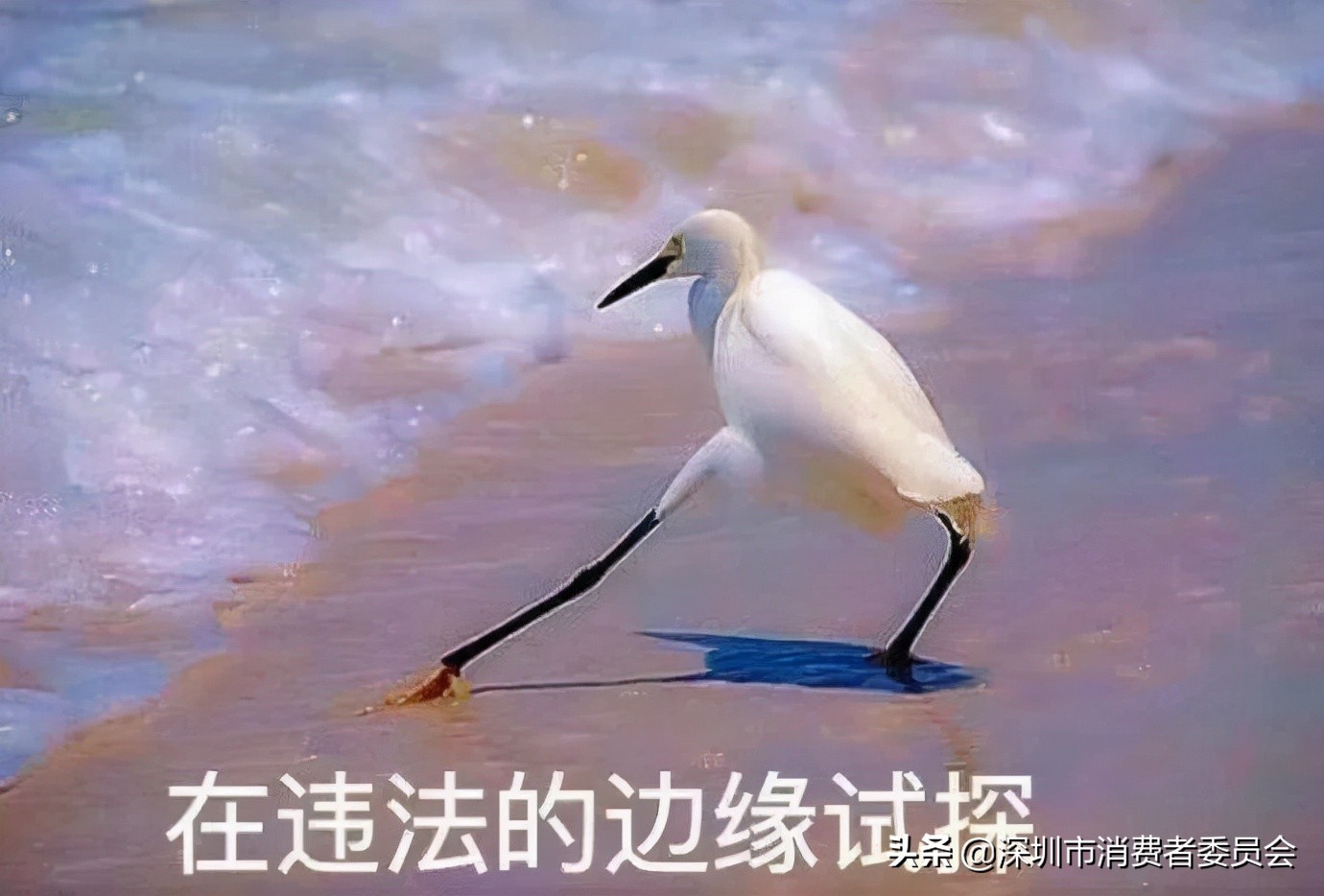 有奖竞猜答对8条,有奖竞猜500元交个税吗