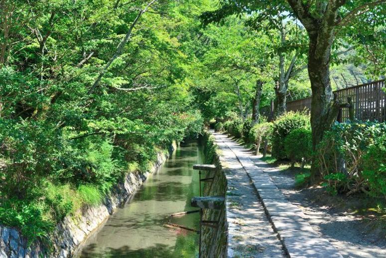 日本京都塔旅游,京都祗园自由行热门攻略
