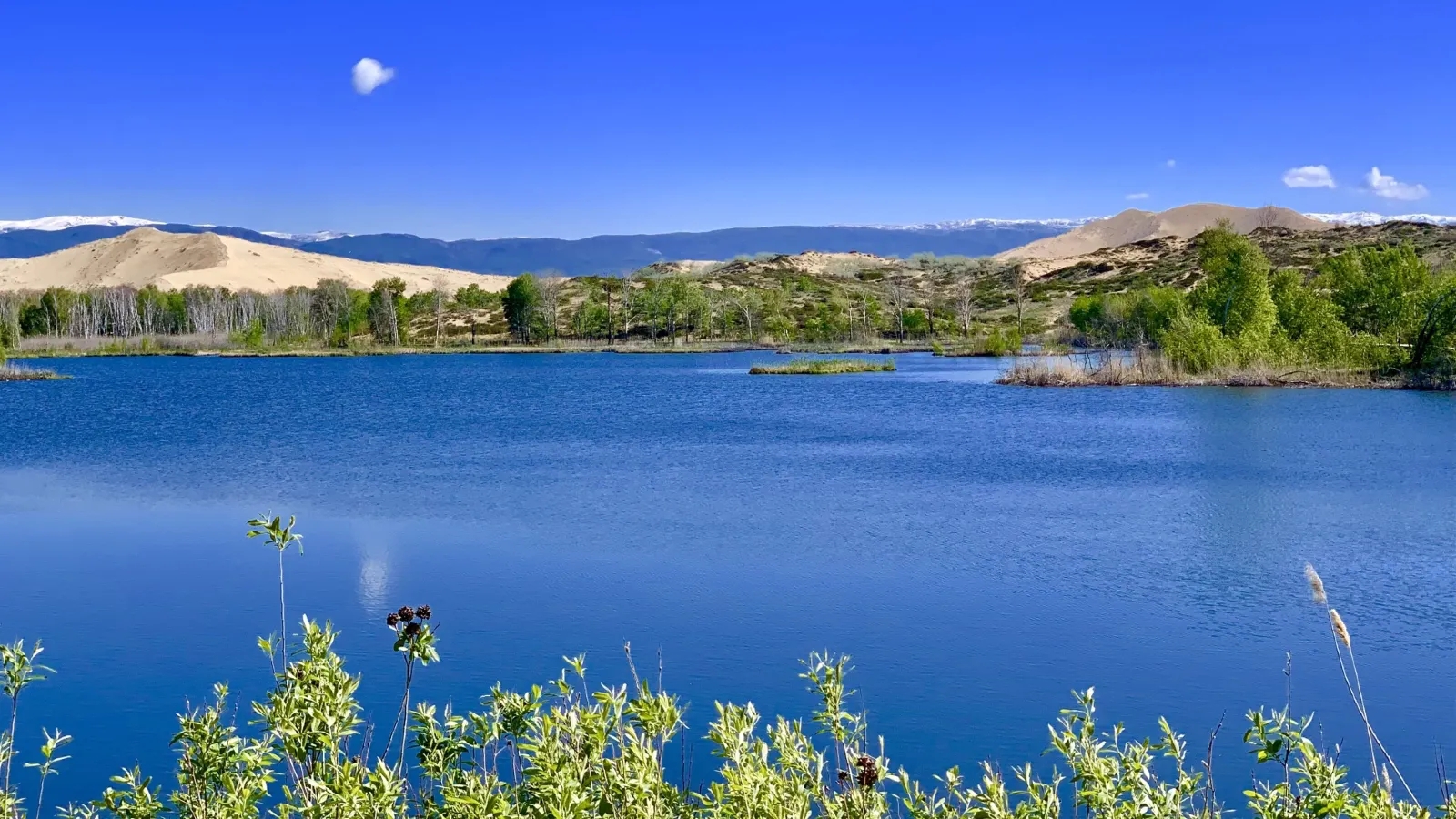盘点新疆17个5a级风景区,国家aaaaa级沙漠旅游风景区