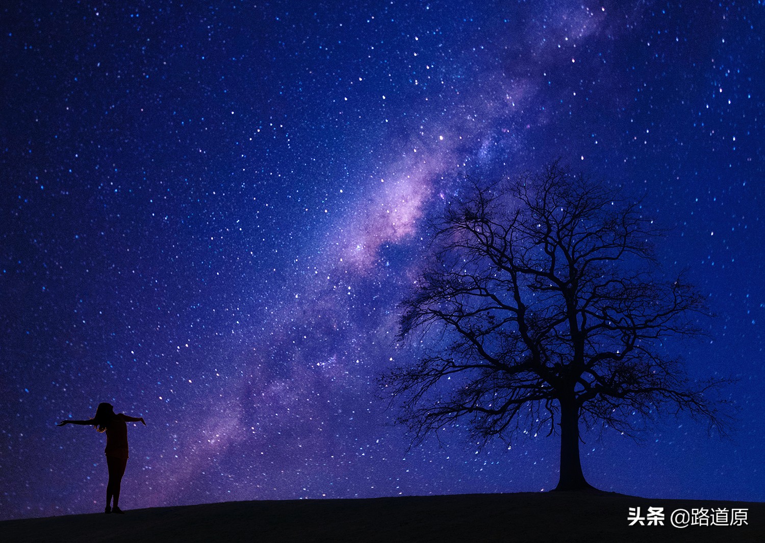 520除了是情人节还是什么节日,520为什么定为情人节