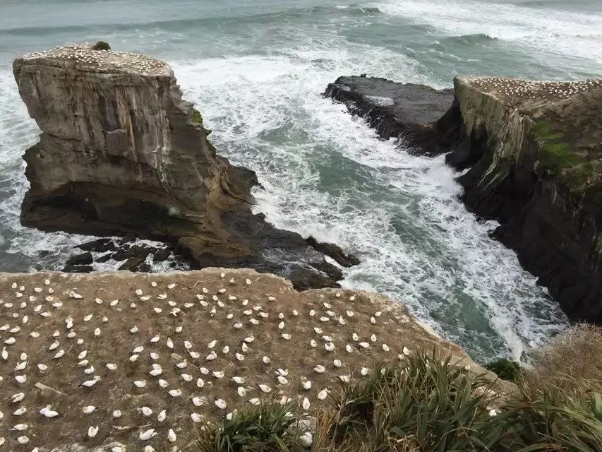 优优在新西兰：职高毕业，生两个小孩，打两份工，拿三个学位