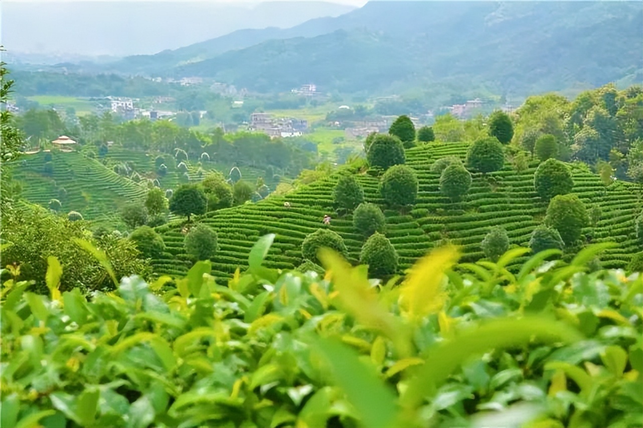 桂林雁山猫儿山,广州出发6天最适宜赏秋旅游