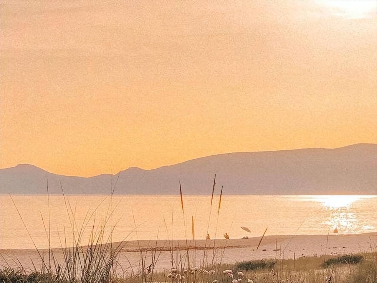 关于风景的诗词句子大全,诗句中描写山水风景最美的句子