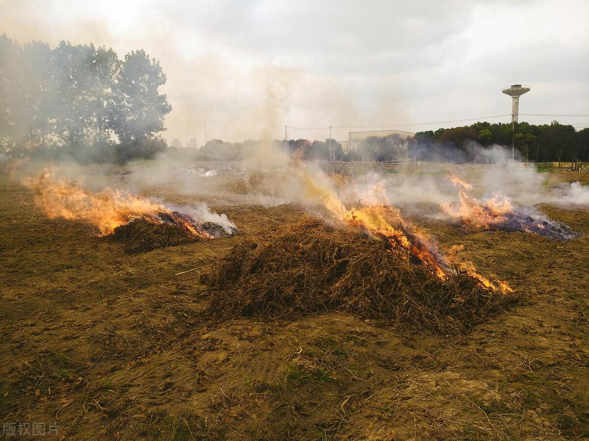 焚烧秸秆对土壤好还是坏,焚烧秸秆利大还是弊大