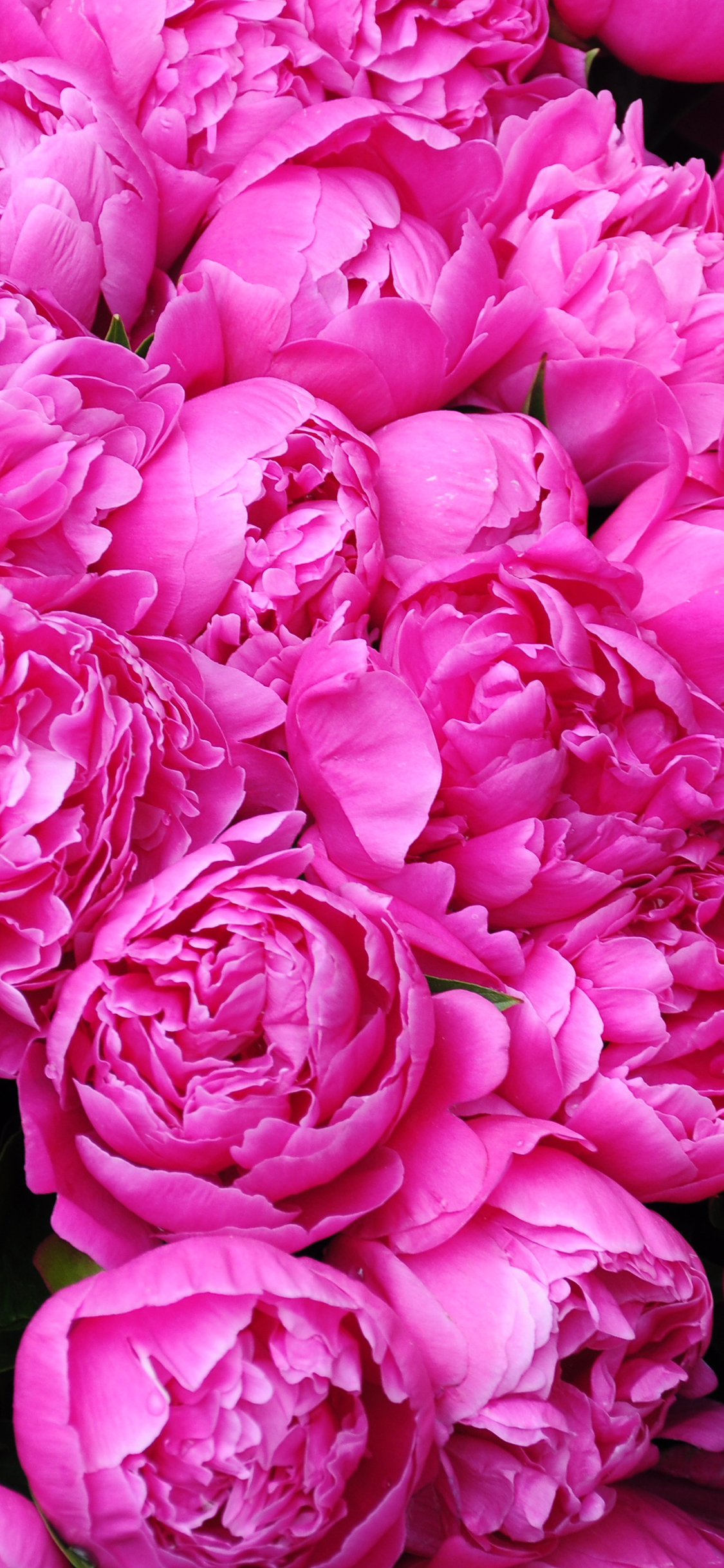 2023年手机壁纸,2023年最新款超清手机壁纸