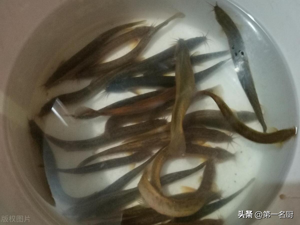 吃什么滋补肾经,男人常吃它补肾强身胜过吃补药