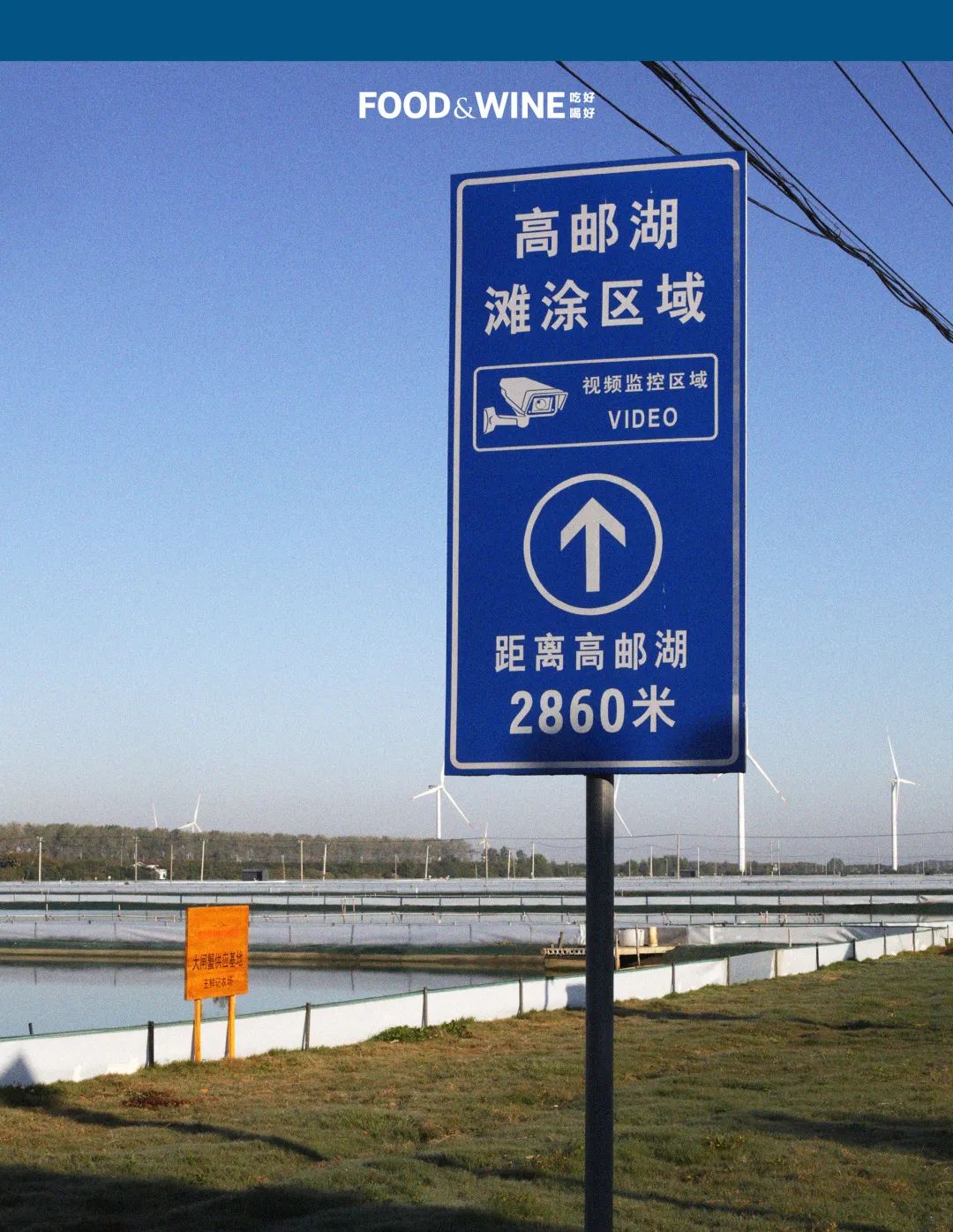 高邮湖螃蟹和洪泽湖螃蟹,阳澄湖高邮湖螃蟹哪个好