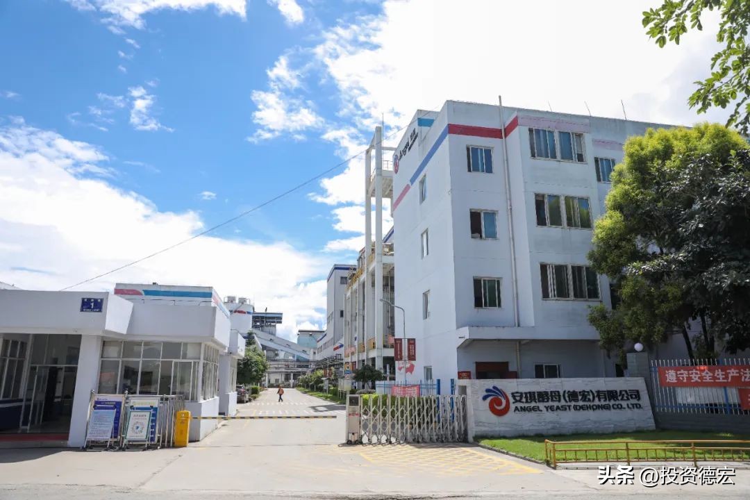 特色兴农看德宏|“甜蜜”的蔗糖产业