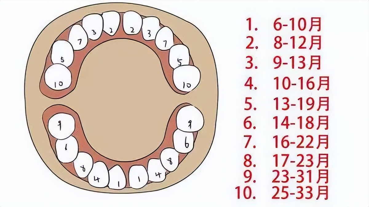 儿童电动牙刷测评最好的前十名,1-6岁儿童电动牙刷测评排行榜