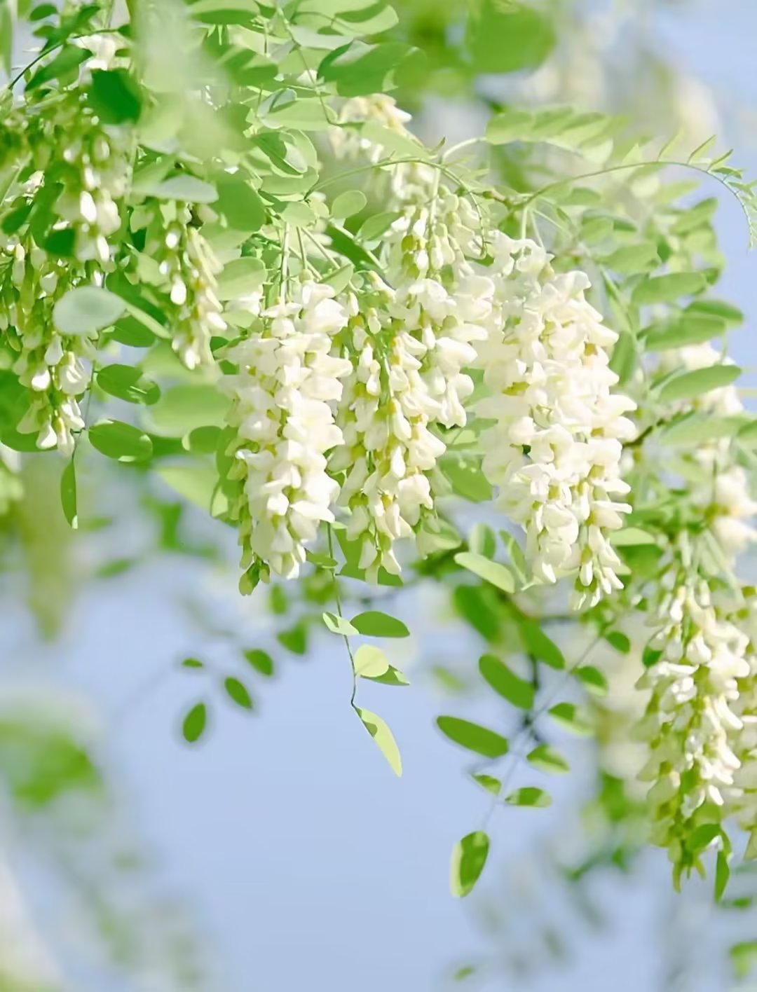 品过人生百味方知人情冷暖,余生不慌不忙不急不躁不悲不喜