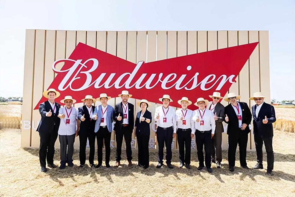 江苏农垦百威亚太,百威亚太与江苏农垦