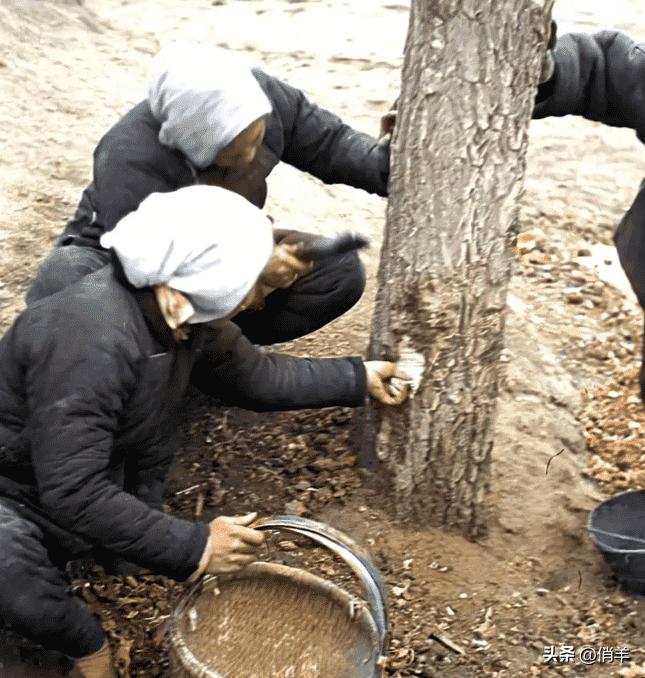 鏃ュ啗鍏借,鏃ュ啗渚靛崕鍏借