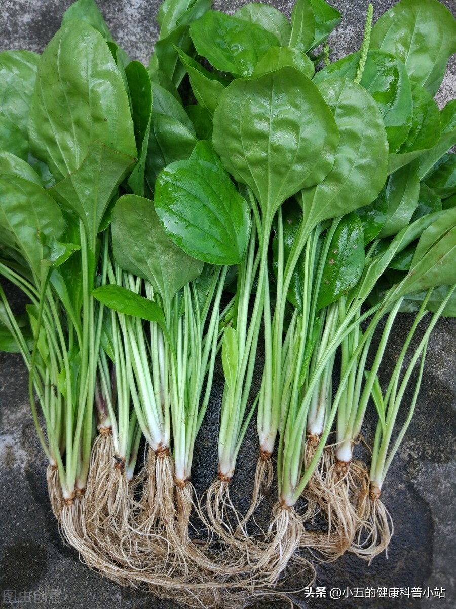 改善肠道便秘用什么药,便秘应该怎么选择通便药