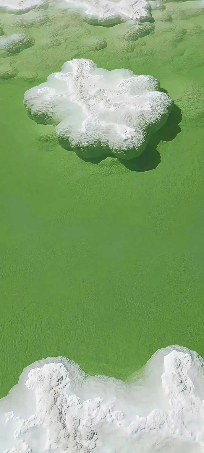 怎么会不喜欢綠色壁纸呢