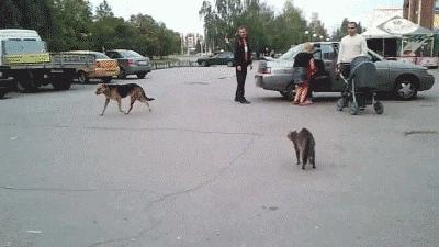 手机充电太慢怎么办vivo,安卓手机充电太慢怎么办