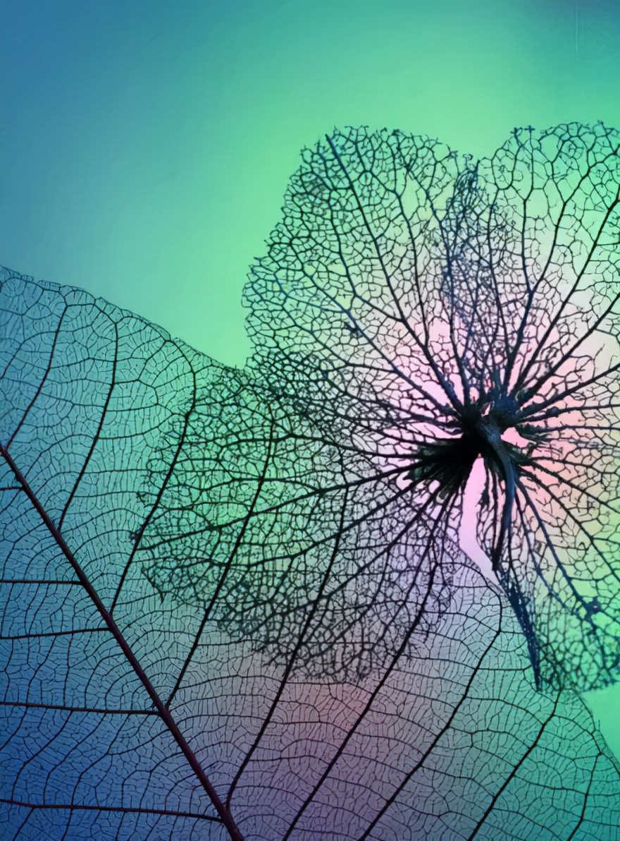 李博陕西,李博陕西青年