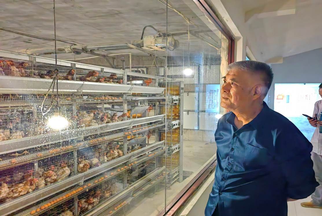 龙头企业带动乡村振兴总结,龙头企业农业产业园