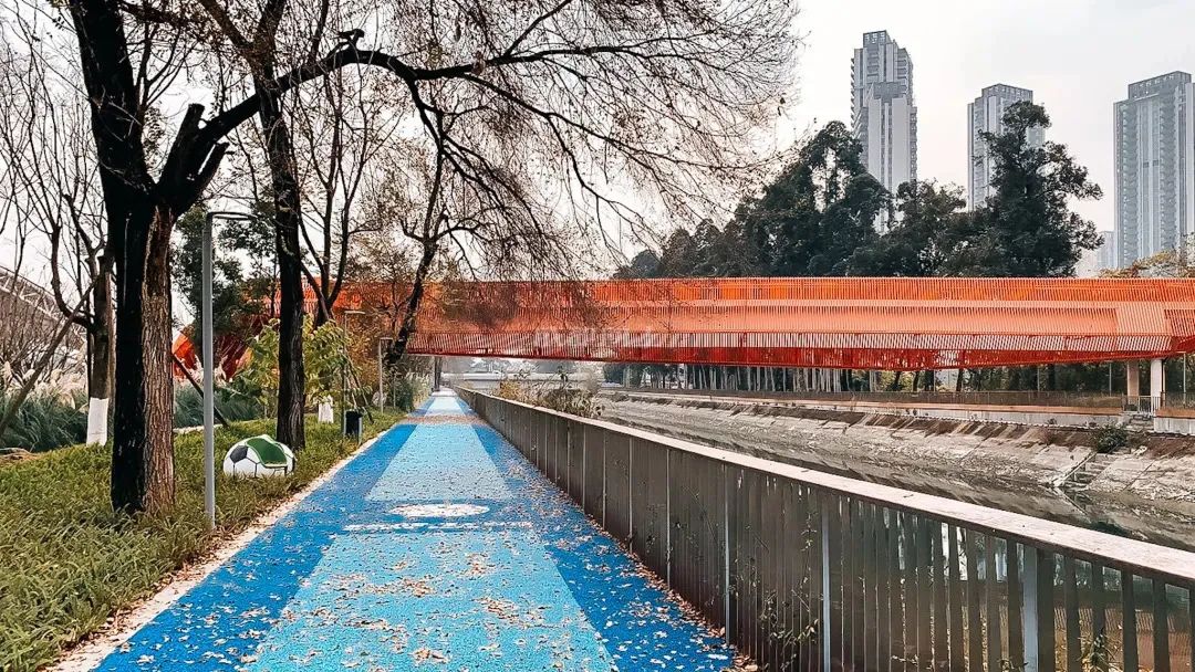 成都成华城东体育公园,成都成华体育公园