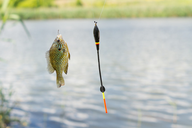 详解绑钩诀窍,绑钩技巧及详细教程