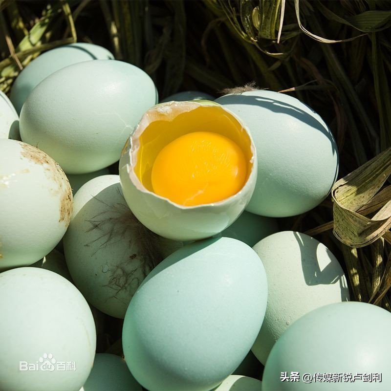 乡村旅游怎么找市场营销,乡村旅游市场营销策略论文