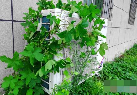 夏天为什么开空调26度最省电,夏天空调开26度真的省电吗