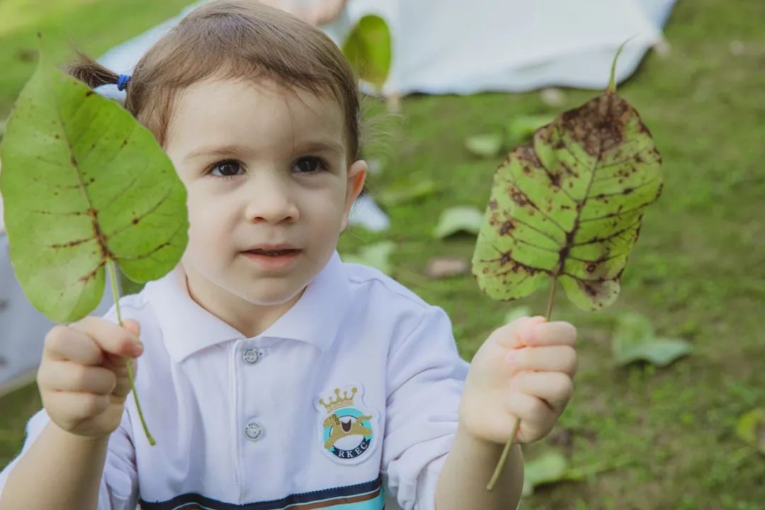 深圳南山国际幼儿园哪家好,南山区国际幼儿园哪家好