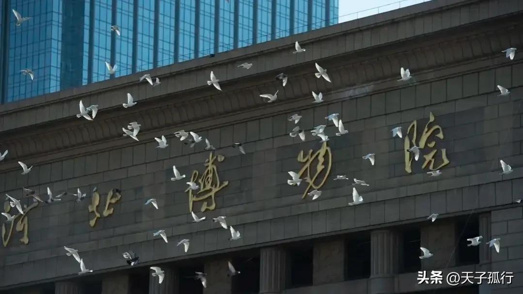 我们如此热爱石家庄|想和你，在石家庄想和你一起做的事