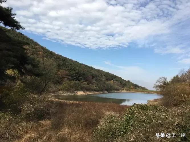 挖到神秘地宫的真实事件,江西地宫挖出舍利子