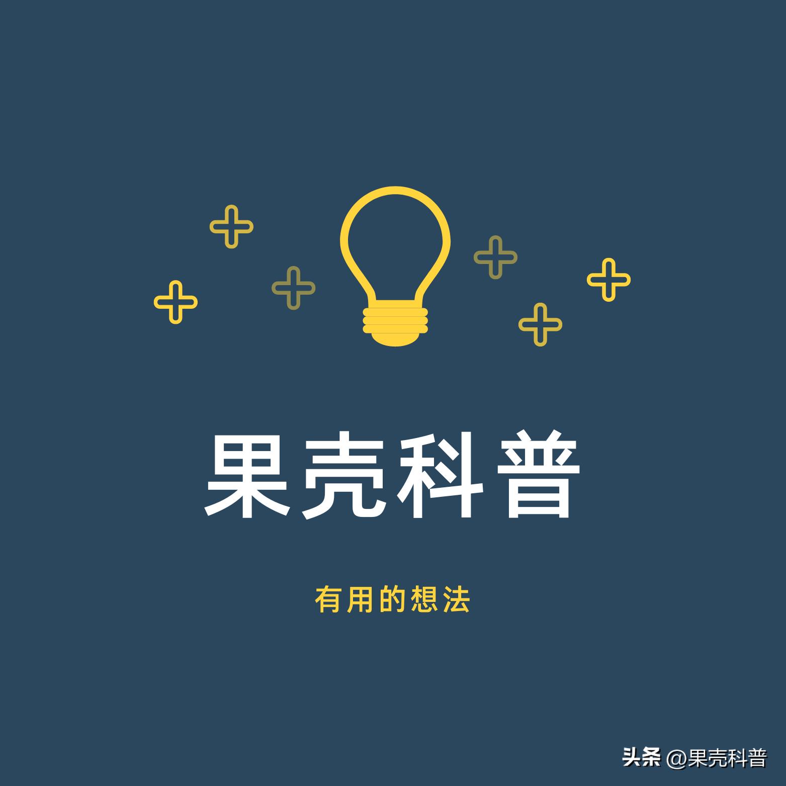 第三篇：花的奥秘|植物探秘：探索奇妙的绿色世界