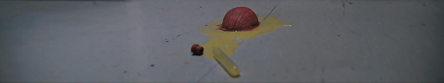 下饭怪物片,下饭惊悚怪兽片