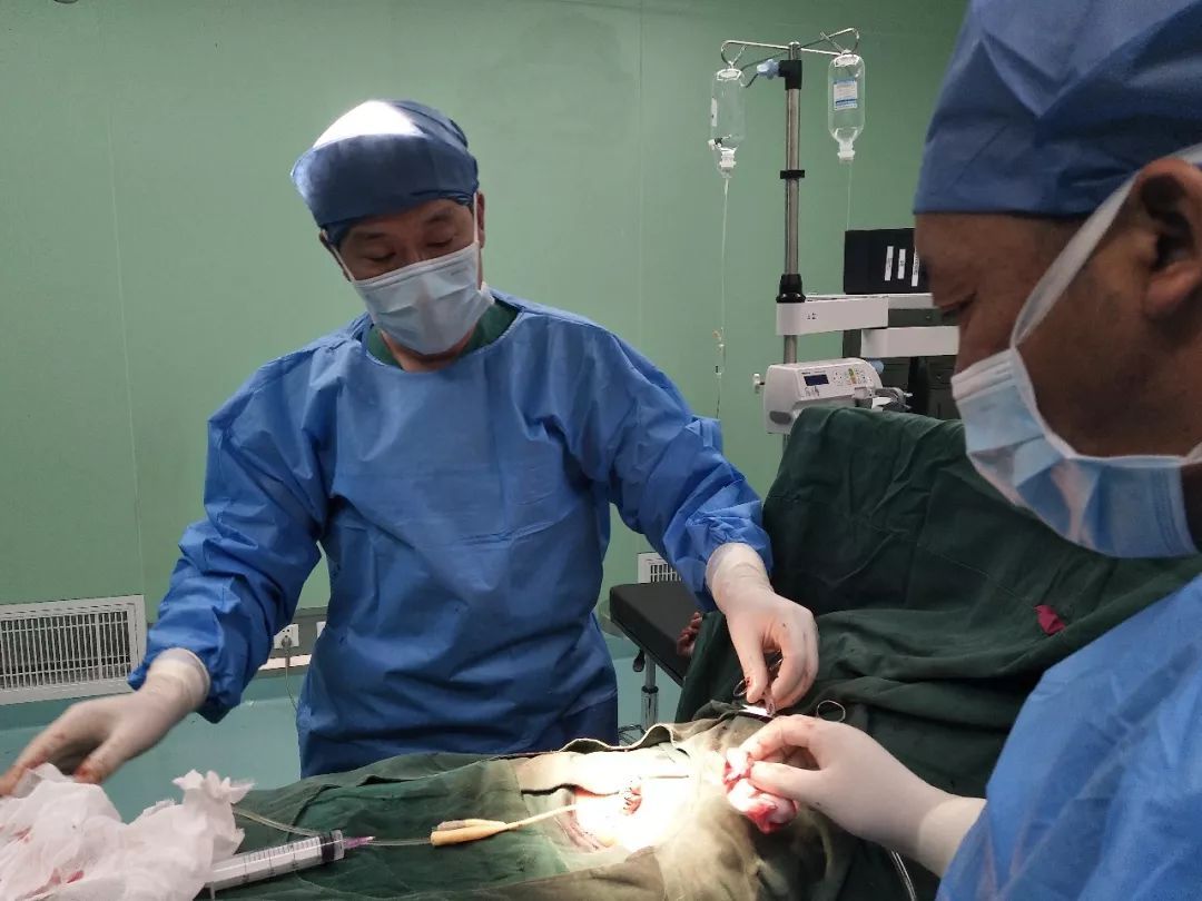 男性割包皮的十个好处,男生割包皮的8个好处2个坏处