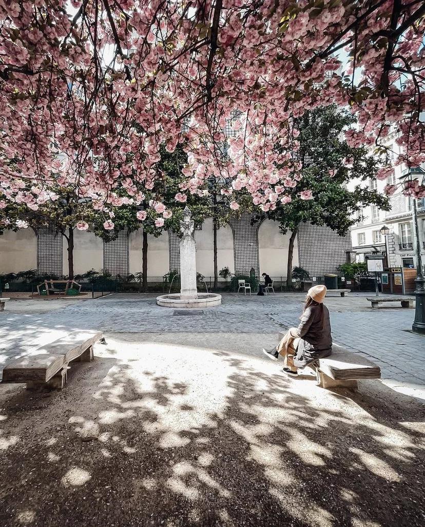 去巴黎的人一定要做好攻略,巴黎最全攻略