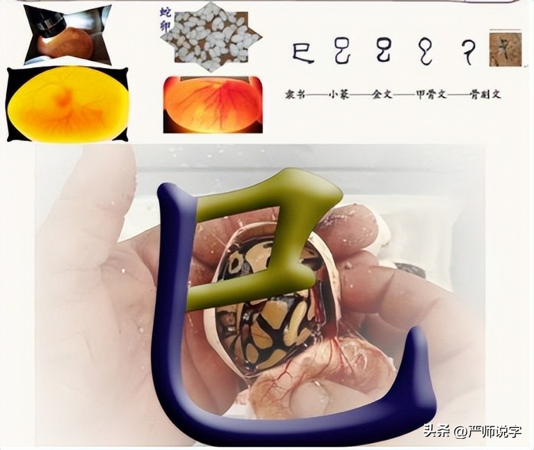 汉字偏旁汇总一览表打印,汉字的常用偏旁部首大全完整版