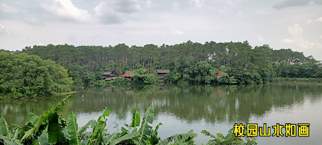 景观植物造景设计一般技法,景观植物设计园林植物造景